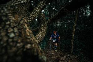 BIB: 
                            <button type="button" onclick="openModal(25704085)" class="btn btn-primary btn-sm float-right btn-popup" data-toggle="modal" data-target=".modal-high-quality">
                        <i class="fas fa-shopping-cart"></i> Add to Cart
                    </button>
                                            <button type="button" onclick="isThisMe(25704085, true)" class="btn btn-success btn-sm float-right btn-popup btn-isme hidden" data-toggle="tooltip" data-placement="bottom" title="นี่คือรูปของคุณใช่ไหม คลิกที่นี่เพื่อเอาเข้าอัลบั้ม">
                        <i class="fas fa-plus"></i> Add to album
                    </button>
                    <button type="button" onclick="isThisMe(25704085, false)" class="btn btn-warning btn-sm float-right btn-popup btn-isnotme hidden">
                        <i class="fas fa-ban"></i> Remove from album
                    </button>